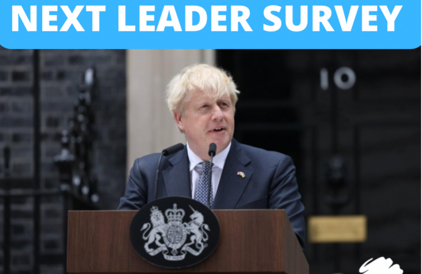 Next Leader Survey